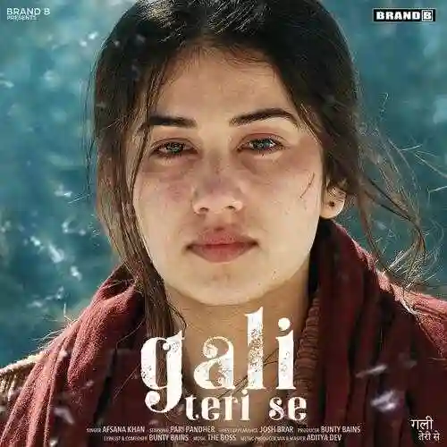Gali Teri Se - Afsana Khan cover image