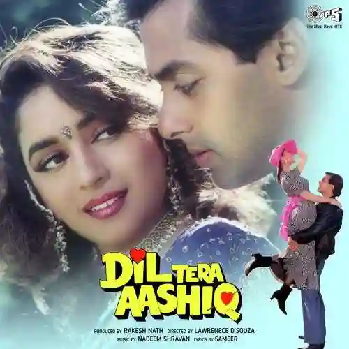 Dil Tera Aashiq 1993 cover image