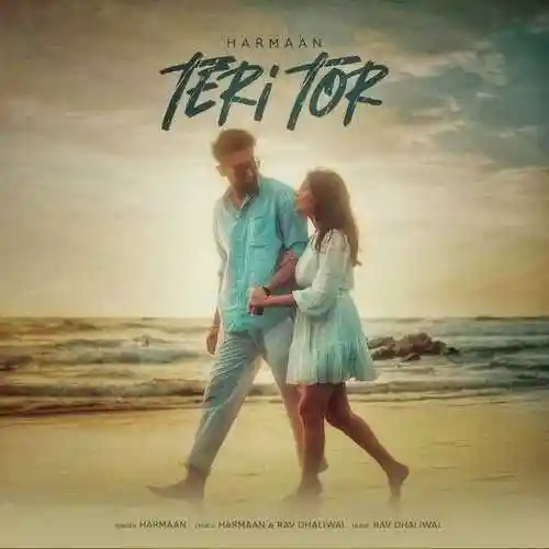 Teri Tor - Harmaan 2024 cover image