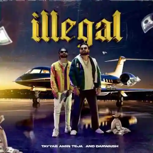 Illegal - Tayyab Amin Teja cover image
