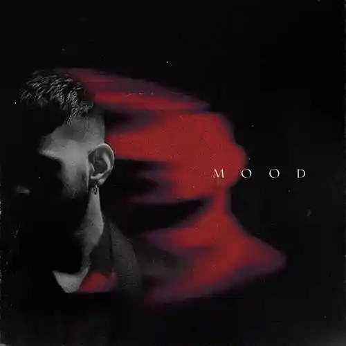 Mood - Ricki Dhindsa cover image