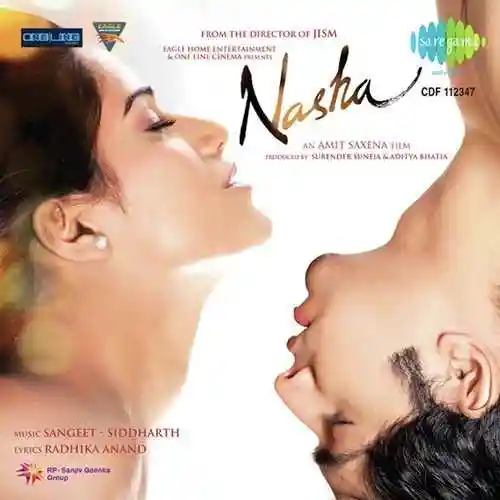 Nasha 2013 cover image