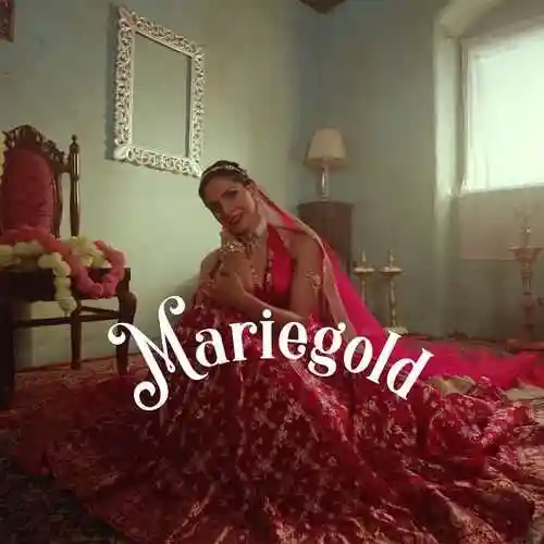 Mariegold - Curry 2024 cover image