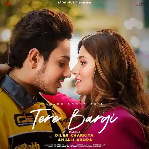 Tere Bargi - Diler Kharkiya cover image
