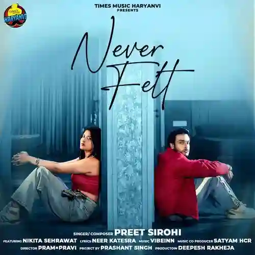 Never Felt - Preet Sirohi 2025 cover image
