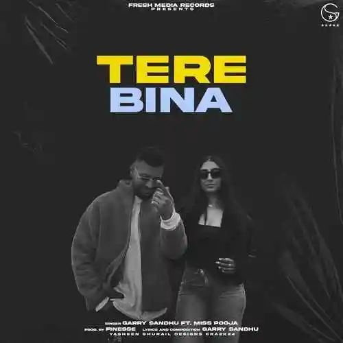 Tere Bina - Garry Sandhu 2024 cover image