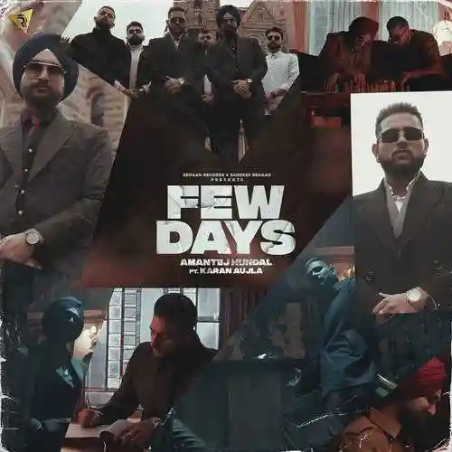 Few Days - Amantej Hundal cover image