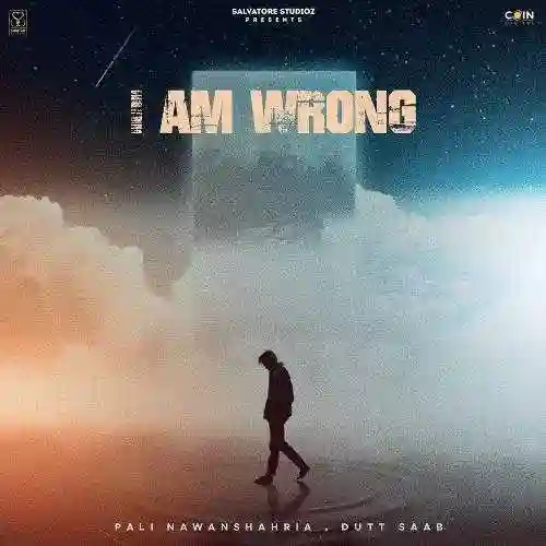 I Am Wrong - Pali Nawanshahria 2022 cover image