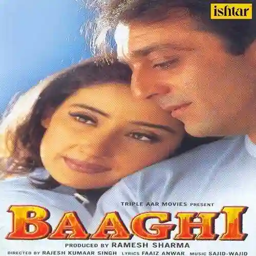 Baaghi (New) 2000 cover image