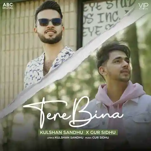 Tere Bina - Kulshan Sandhu cover image
