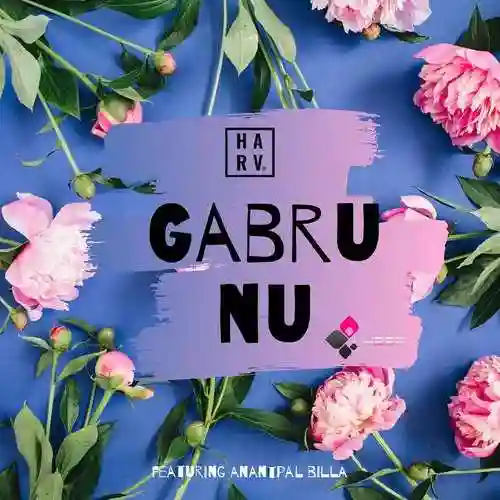 Gabru Nu - DJ Harv 2022 cover image