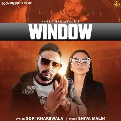 Window - Harpy Raniawala cover image