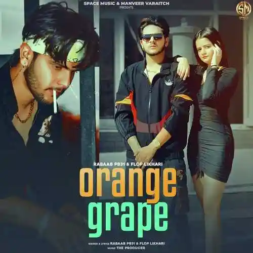 Orange Grape - Rabaab Pb31 cover image