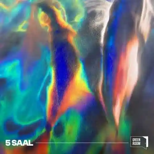 5 saal - Zaeden 2024 cover