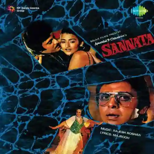 Sannata 1981 cover image