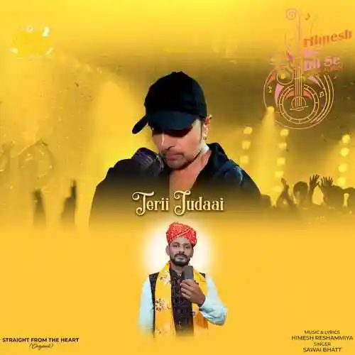 Terii Judaai - Sawai Bhatt 2023 cover image