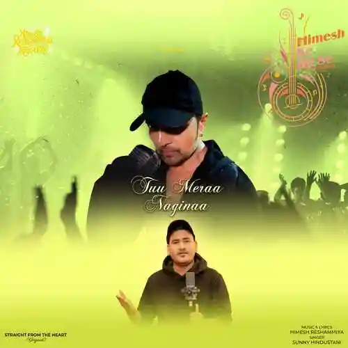 Tuu Meraa Naginaa - Sunny Hindustani 2023 cover image