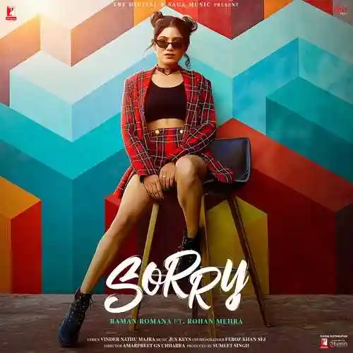 Sorry - Raman Romana cover image