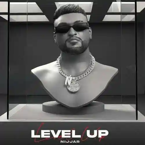 LEVEL UP - Nijjar 2022 cover image