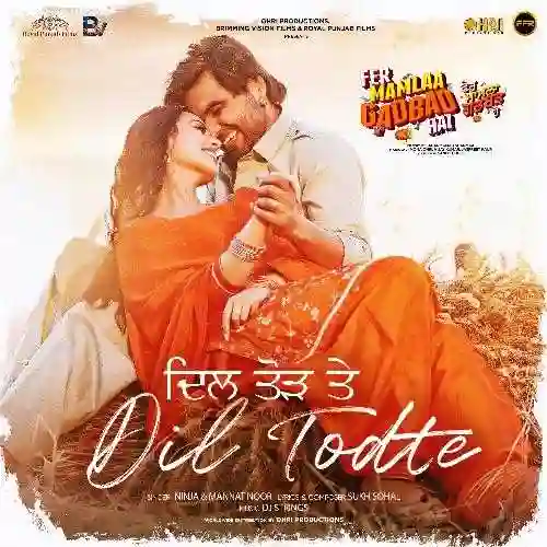 Dil Todte - Ninja 2024 cover image