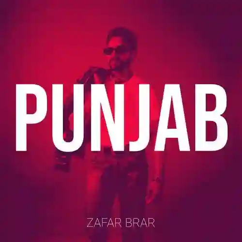 Punjab - Zafar Brar 2024 cover image