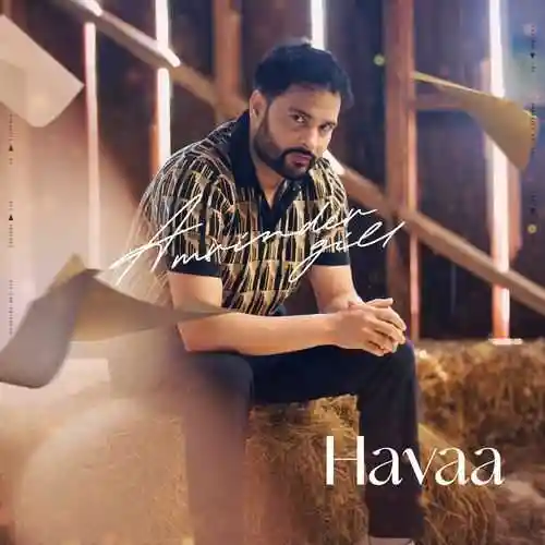 Havaa - Amrinder Gill 2024 cover image