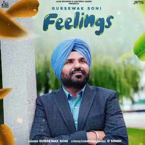 Feelings - Gursewak Soni cover image