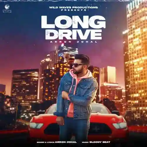 Long Drive - Arron Johal cover image