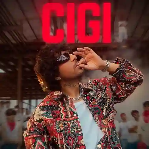 Cigi - Tony Kakkar 2024 cover image