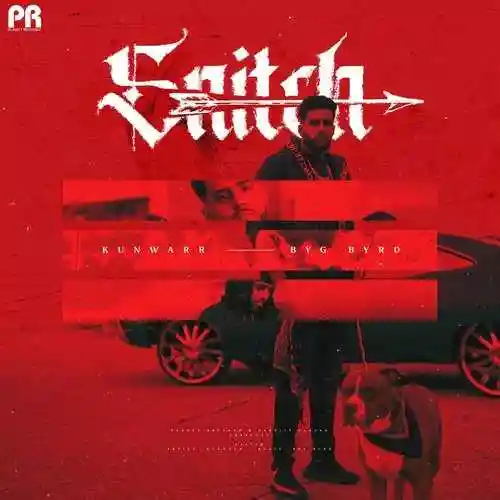Snitch - Kunwarr cover image