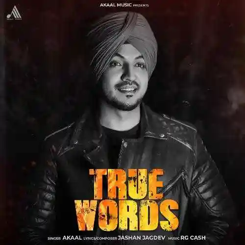 True Words - Akaal 2024 cover image