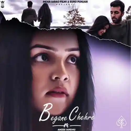 Begane Chehre - Amzee Sandhu cover image