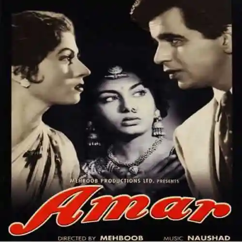 Amar 1954 cover image