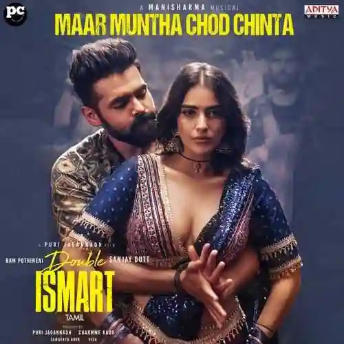SteppaMaar Double Ismart cover image