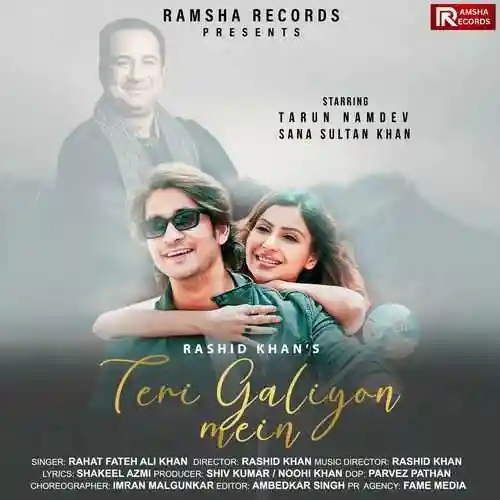 Teri Galiyon Mein - Rahat Fateh Ali Khan 2024 cover image